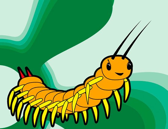 Ножки сороконожки