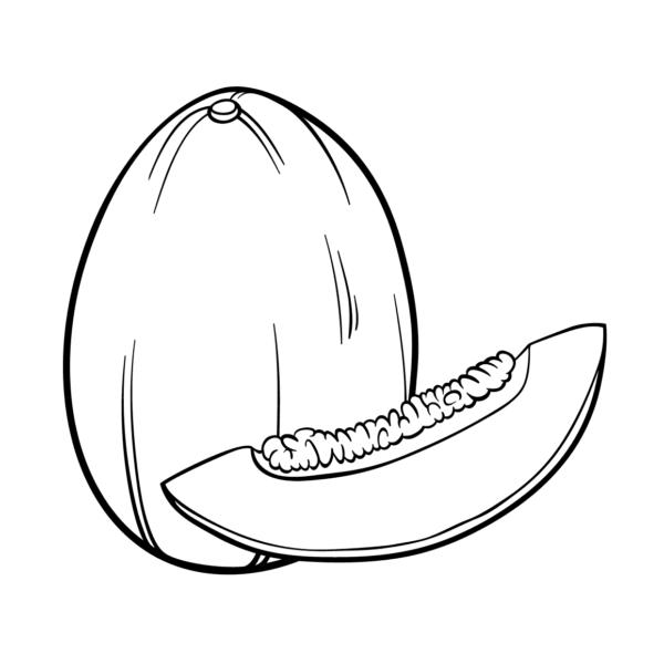 Дыня раскраска