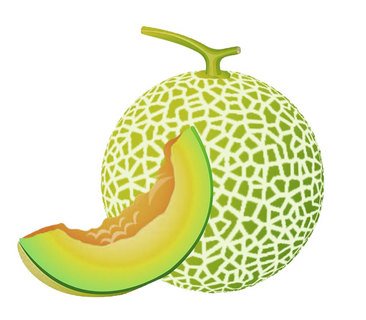 Наклейки дыня