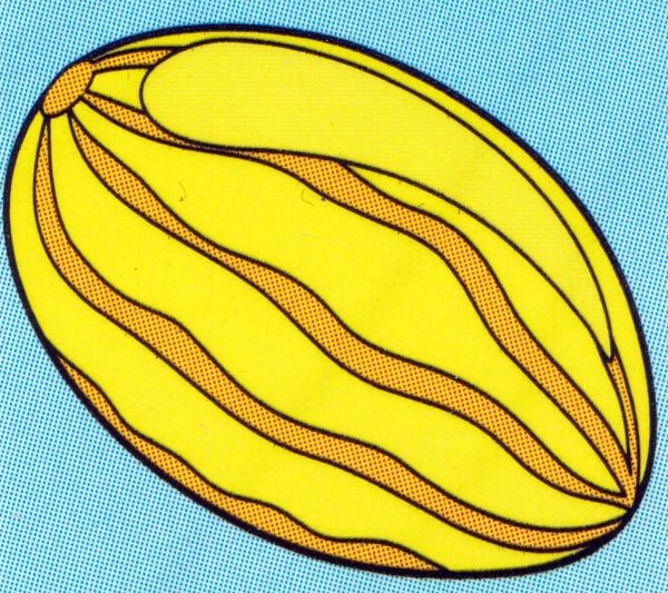 Дыня распечатки