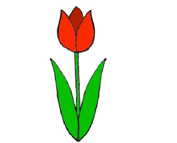 Пошаговое рисование цветов для детей