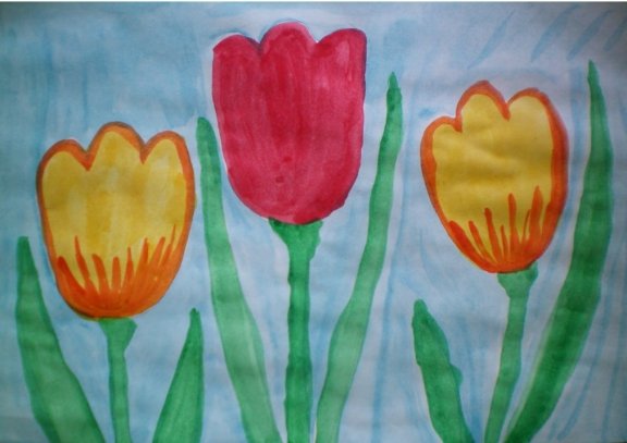 Тюльпан раскраска