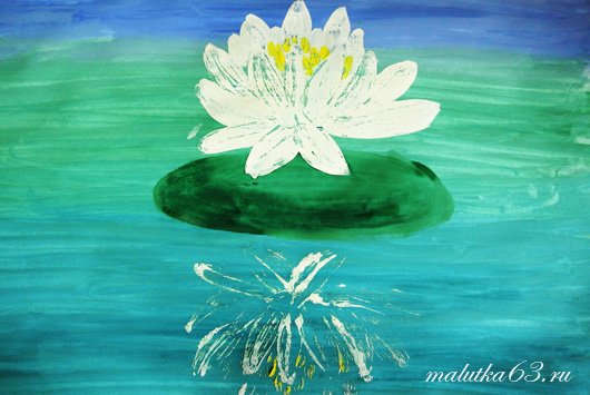 Кувшинка белая рисунок красками