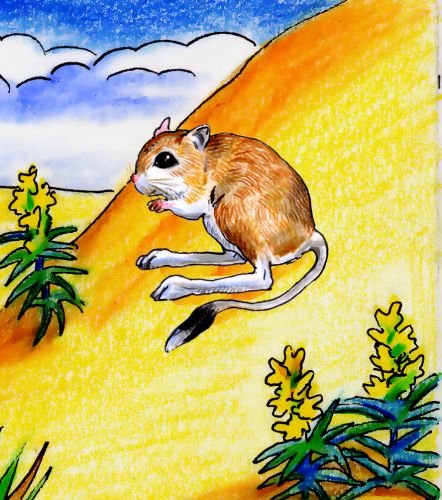 Тушканчик рисунок