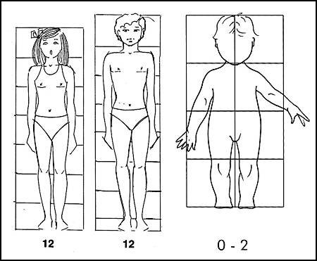 Модель ребенка для рисования одежды
