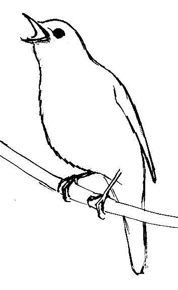 Соловей раскраска