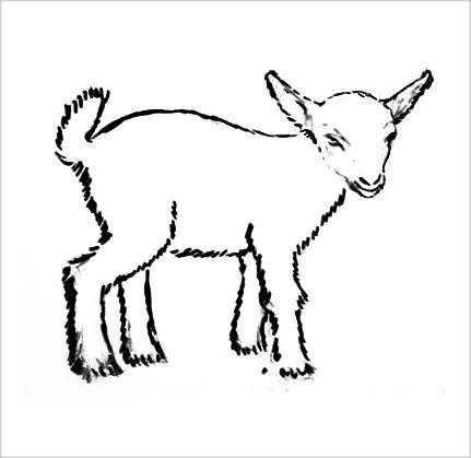 Коза раскраска для детей