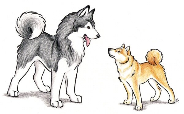 Срисовки лайки