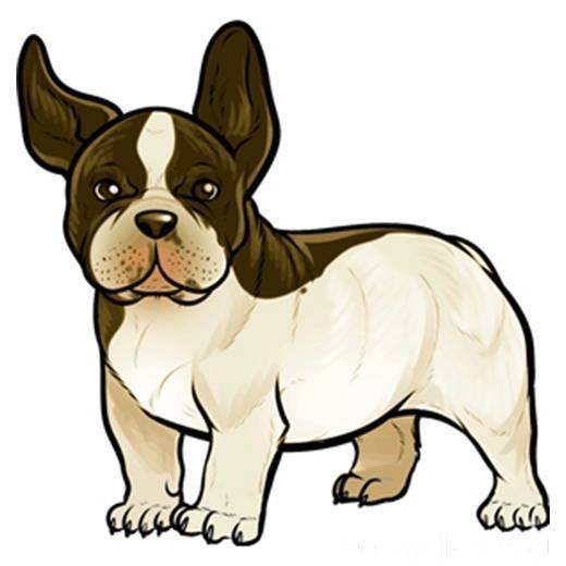 Рисунок собака Булька
