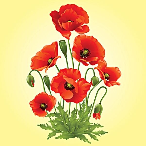 Рисование маки с детьми