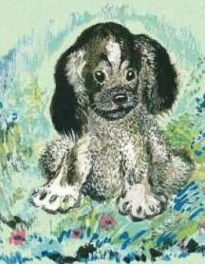 Евгений Чарушин Томка