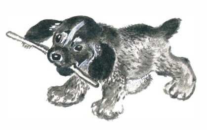 Чарушин про Томку