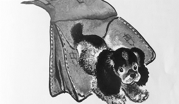 Чарушин как Томка научился плавать