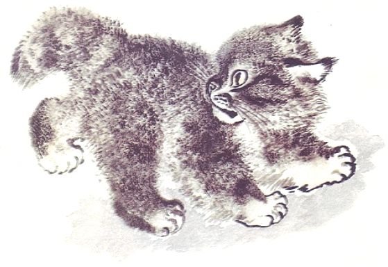 Евгений Чарушин иллюстрации Тюпа