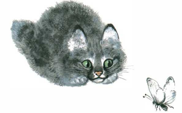 Тюпа маленький Чарушин