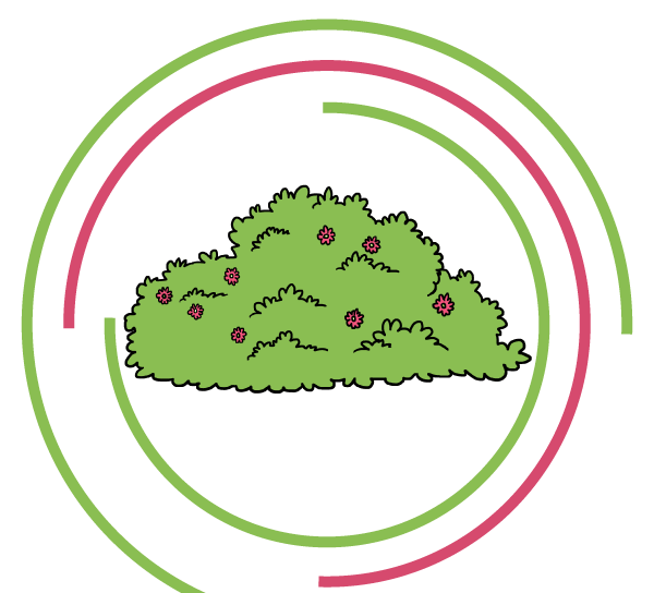 Нарисовать куст