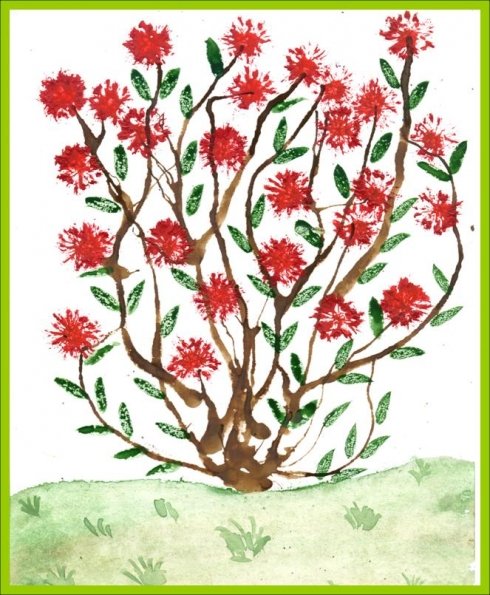 Рисование кустарника в старшей группе