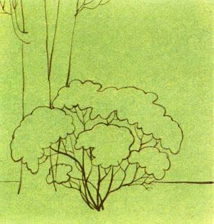 Кусты для срисовки