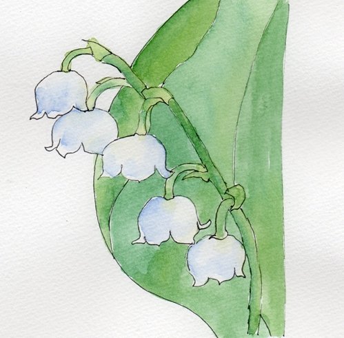 Ландыши зарисовки