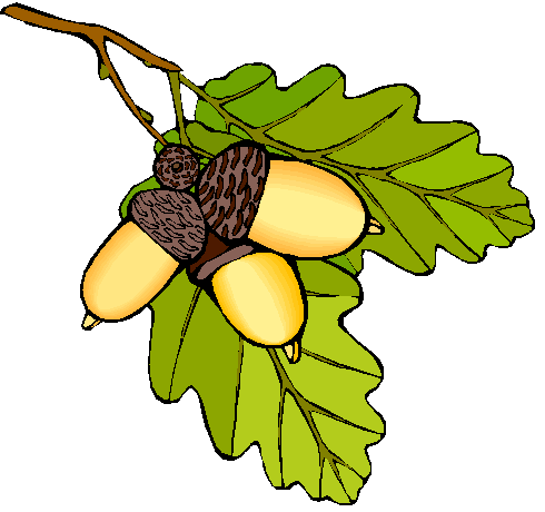 Желудь символ