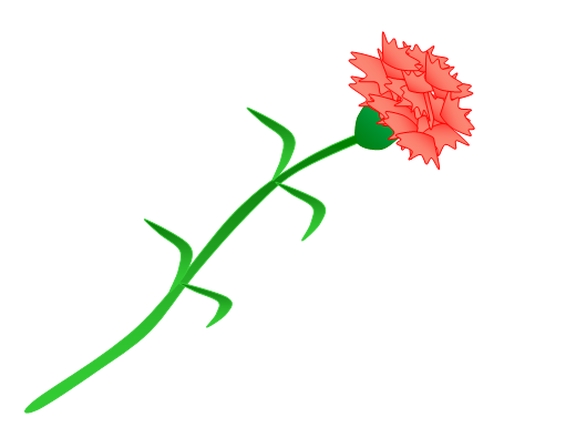 Гвоздики раскраска для детей