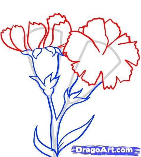 Нарисовать гвоздику