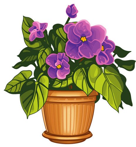 Цветы поэтапное рисование для детей