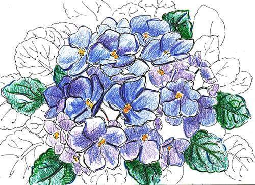 Весенние цветы раскраска