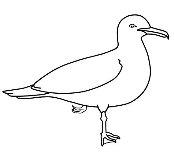 Чайка раскраска