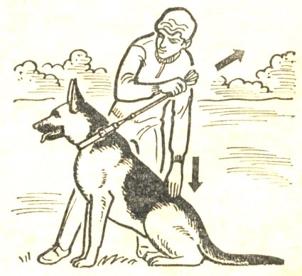 Полицейский с собакой рисунок