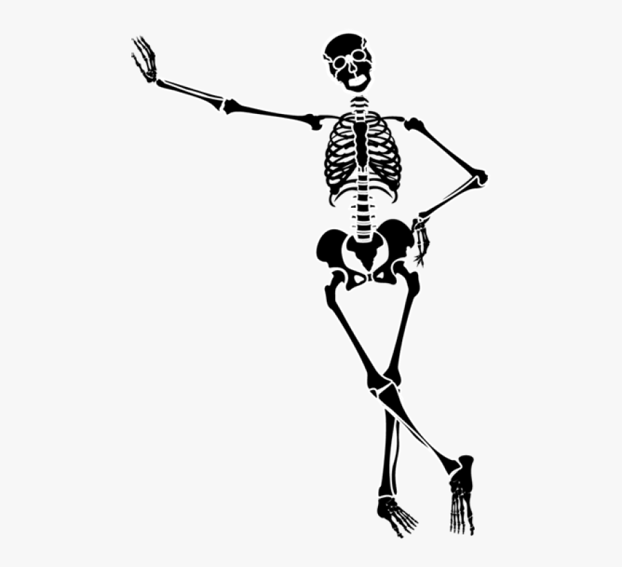 Облегченный скелет. Скелет человека. Скелет рисунок. Скелет на белом фоне. Стилизованный скелет человека.