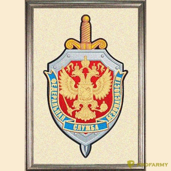 ФСБ РФ символика