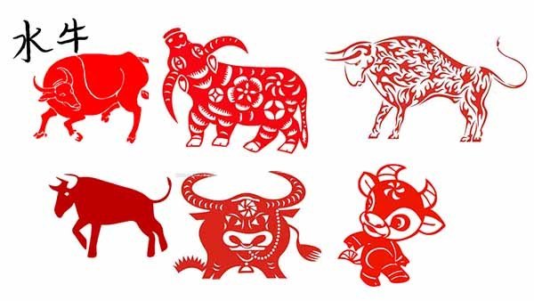 Год быка 2021