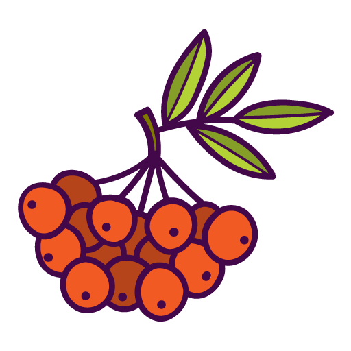 Рябина вектор