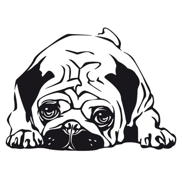 Мопс трафарет