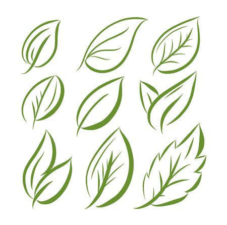 Лист контур векторный