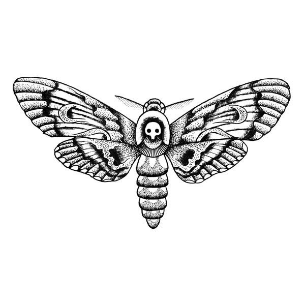 Бражник мертвая голова арт