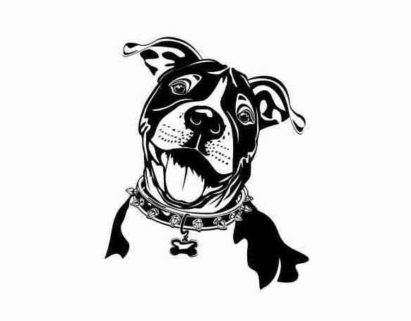 Наклейка амстафф