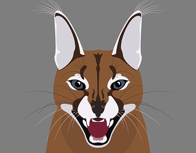 Каракал вектор