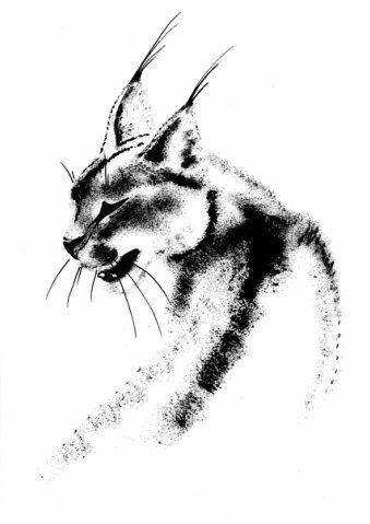 Каракал вектор