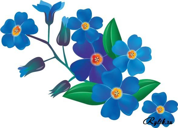 Незабудки мультяшные много