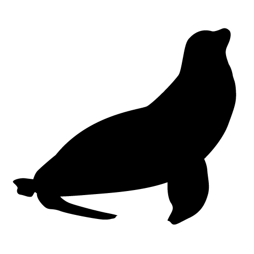 Тень тюленя