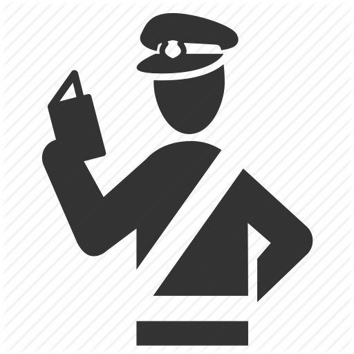 Таможенный контроль иконка