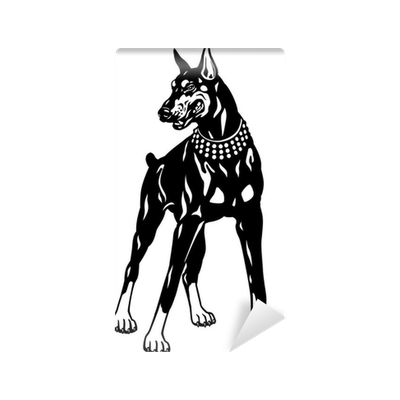 Доберман черно белый эскиз