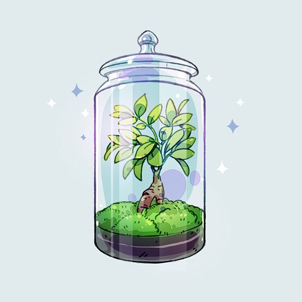 Флорариум рисунок