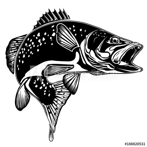 Абстрактный рисунок форели