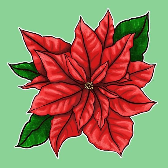 Мандала пуансеттия