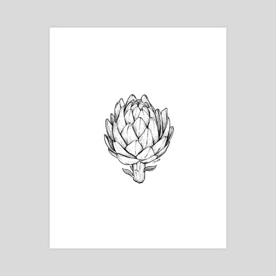 Протея артишок карандашом