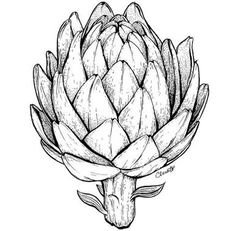 Артишок вектор чб