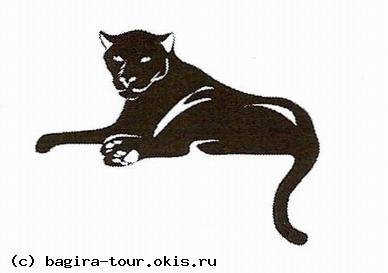 Силуэт лежащей пантеры